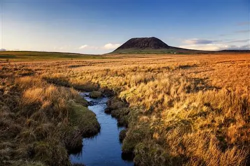 игра престолов игра престолов