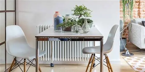Ботанические украшения, помимо растений