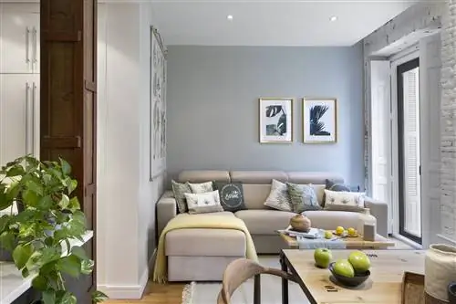 Ботаническая шикарная квартира в Мадриде