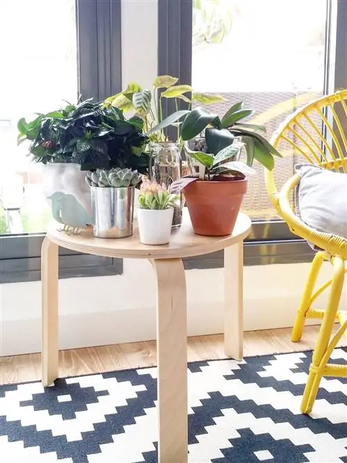 Цветочный горшок, Дизайн интерьера, Комнатное растение, Ваза, Артефакт, Однолетнее растение, Обод велосипедного колеса, Керамика, Плитка,