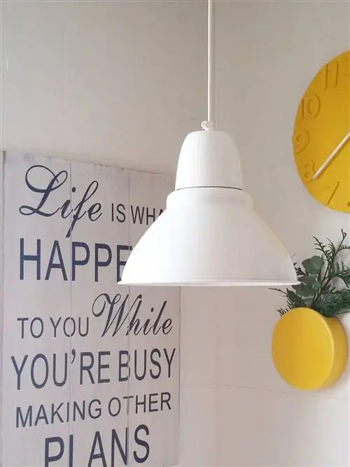 Цитрусовые, Стена, Светильник, Фрукты, Продукция, Аксессуары для освещения, Апельсин, Грейпфрут, Апельсин Валенсия, Аксессуары для дома,