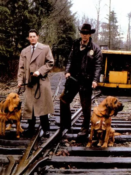 Порода собак, Человек, Собака, Позвоночные, Хищник, Спортивная группа, Млекопитающее, Шляпа, Собака-компаньон, Печень,