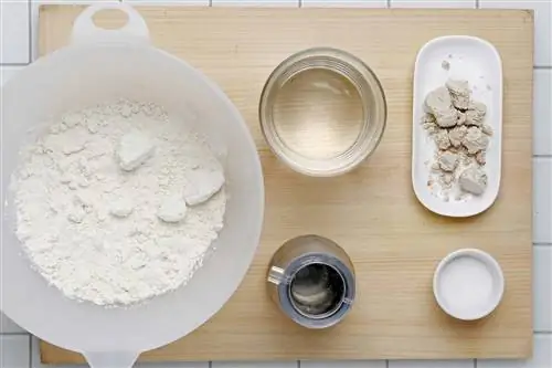 Кока с анчоусами и баклажанами Кока с анчоусами и баклажанами