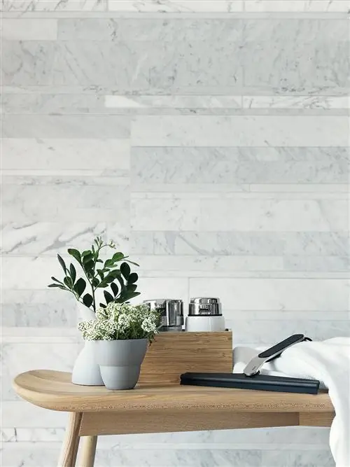 Вазон, Стена, Стол, Дизайн интерьера, Артефакт, Ваза, Горшок, Комнатное растение, Натюрморт, Керамика,