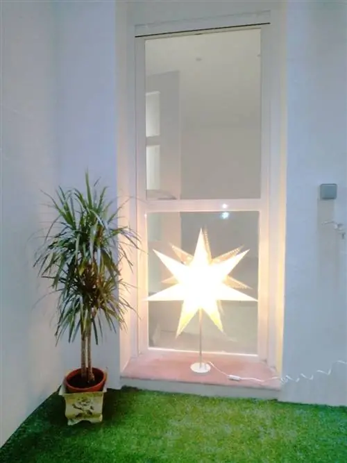 Цветочный горшок, Стекло, Светильник, Комнатное растение, Домашняя дверь,