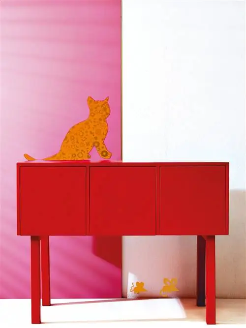 Кошачьи, Плотоядные, Кошки малого и среднего размера, Янтарные, Оранжевые, Кошачьи, Пурпурные, Прямоугольные, Хвост, Персиковые,