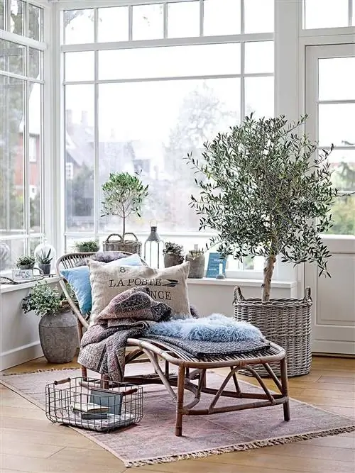 Дизайн интерьера, Цветочный горшок, Дневной свет, Дизайн интерьера, Светильник, Прозрачный материал, Главная, Комнатное растение, Дизайн, Веточка,