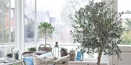 Естественная ставка: дизайн волокна