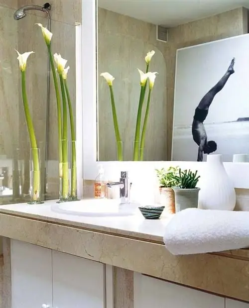 Комната, Цветок, Дизайн интерьера, Дизайн интерьера, Артефакт, Ботаника, Цветущее растение, Ваза, Стебель растения, Столешница,