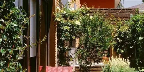 Дом с частным Эдемом