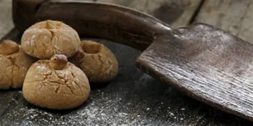 Печенье с фундуком Включите духовку