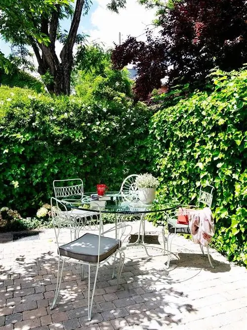 Растение, Мебель, Сад, Мебель для улицы, Уличный стол, Кустарник, Задний двор, Двор, Патио, Тень,