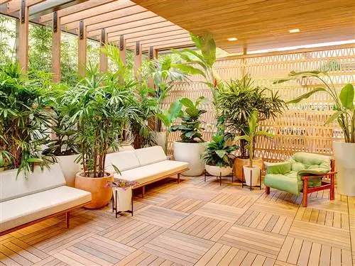 Недвижимость, Комнатное растение, Комната, Недвижимость, Ботаника, Мебель, Крыша, Дизайн интерьера, Здание, Растение,