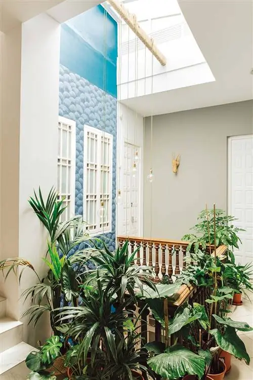 Хостел The Urban Jungle: Skylight