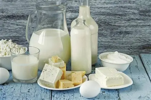 Питание: Молочное Питание: Молочное