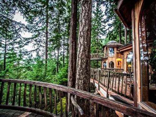 Дерево, Растительность, Природная среда, Имущество, Лес, Заповедник, Дом, Архитектура, Ботаника, Древесное растение,