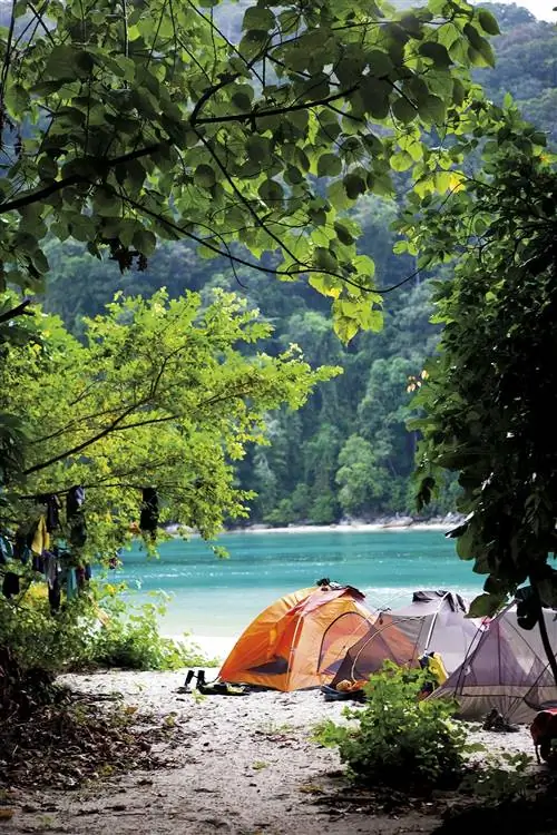 палатки для отдыха в лесу у озера