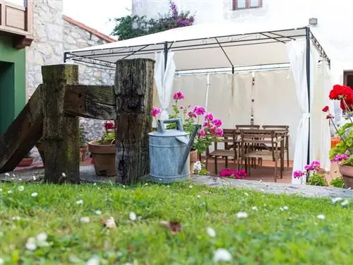 Растение, Лепесток, Цветок, Розовый, Цветочный горшок, Флористика, Пурпурный цвет, Аранжировка цветов, Кустарник, Цветочный дизайн,