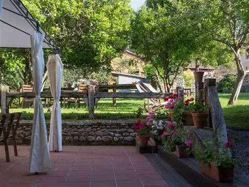 Растение, Цветочный горшок, Дерево, Сад, Лепесток, Кустарник, Тень, Задний двор, Ствол, Двор,