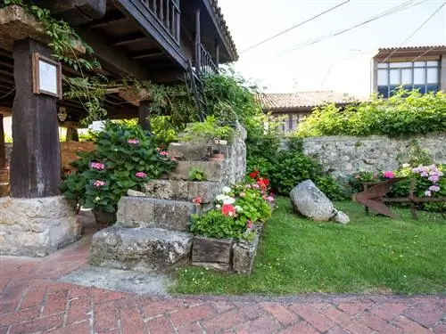 Растение, Цветок, Лепесток, Кустарник, Дом, Сад, Почвопокровное, Булыжник, Комнатное растение, Однолетнее растение,