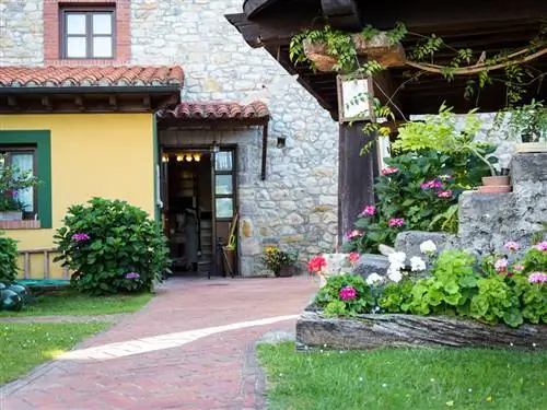 Растение, Окно, Дом, Кустарник, Цветочный горшок, Сад, Дверь, Коттедж, Однолетнее растение, Двор,