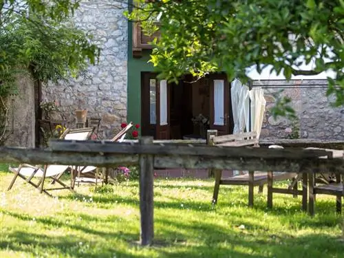 Растение, Дверь, Тень, Задний двор, Двор, Сад, Газон, Мебель для улицы, Уличный стол, Коттедж,