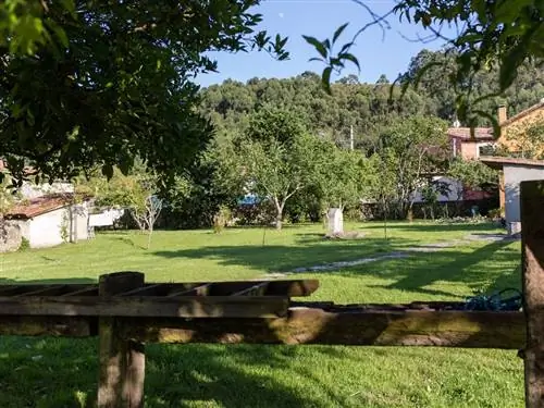 Земельный участок, Древесное растение, Сад, Двор, Сельская местность, Газон, Двор, Тень, Парк, Деревня,