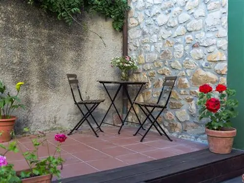 Цветочный горшок, Растение, Цветок, Лепесток, Дизайн интерьера, Лиственных пород, Комнатное растение, Стул, Уличный стол, Морилка,