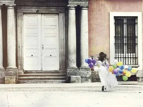 Воздушный шар, дверь, домашняя дверь, приспособление, праздничная поставка, лаванда, дверная ручка, колонна, молдинг,