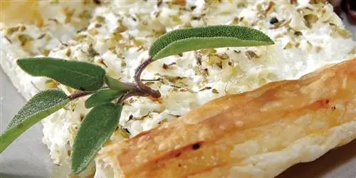 Блюдо дня: Луковый пирог