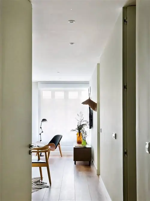 Дерево, Цветочный горшок, Комната, Пол, Дизайн интерьера, Потолок, Пол, Стена, Лиственных пород, Светильник,