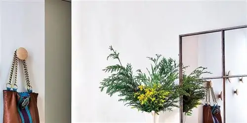 Единые пространства