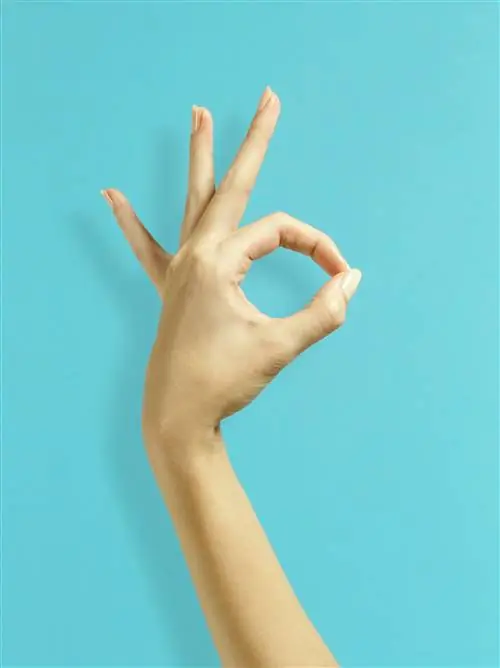 рука