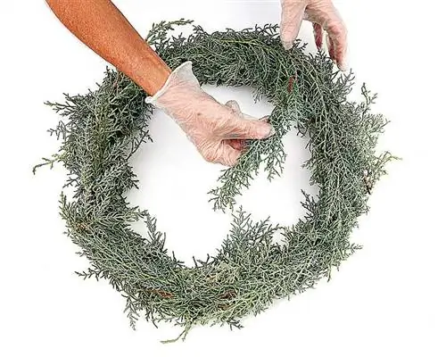 Венок, Растение, Лист, Рука, Новогоднее украшение, Трава,