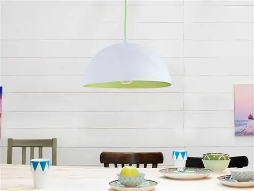 Посуда, Зеленый, Сервировочная посуда, Светильник, Стена, Краска, Аксессуары для освещения, Дизайн, Фарфор, Тарелка,