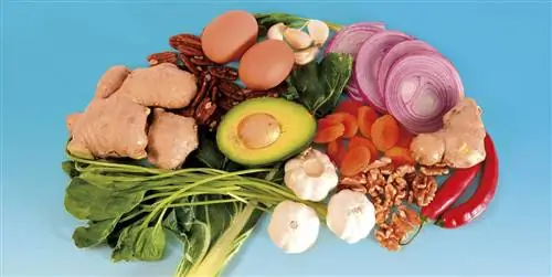 Эти продукты защитят вас от мигрени и головной боли