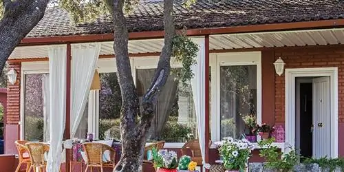 Дом в окружении зелени