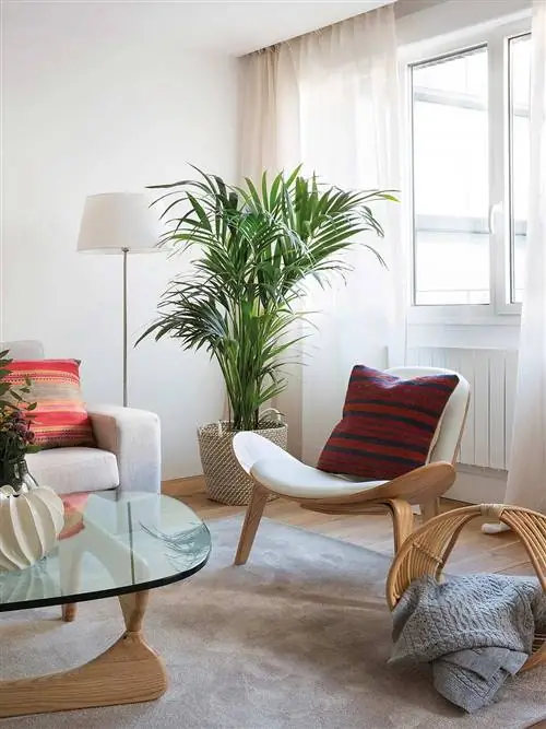 Комната, Мебель, Дизайн интерьера, Гостиная, Недвижимость, Комнатное растение, Этаж, Дом, Дом, Стол,