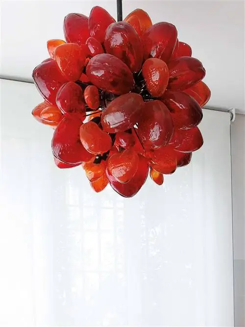 Красный, Дизайн интерьера, Кармин, Фрукты, Продукция, Бессемянные фрукты, Коклико, Натюрморт фотография, Ягода, Персик,