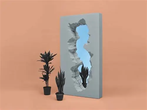 Стена, Современное искусство, Перо, Дерево, Иллюстрация, Растение, Искусство, Чернила,