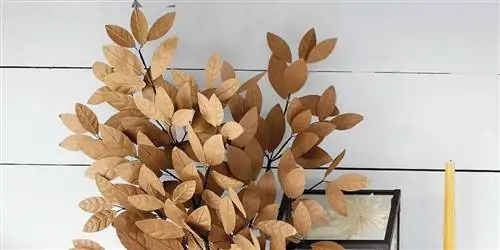 Естественная красота на Рождество