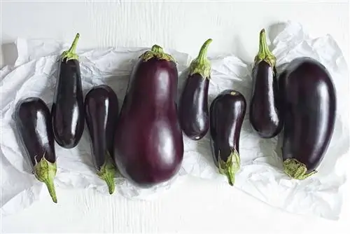 продукты для циркуляции баклажаны