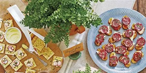Советы по приготовлению закусок