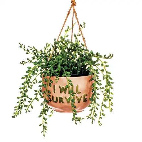 подвесной плантатор