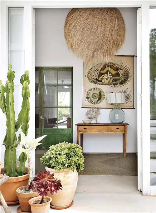 дом на ибице де вирджиния внук холл