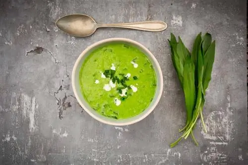 крем из зеленой фасоли, бобов или стручков