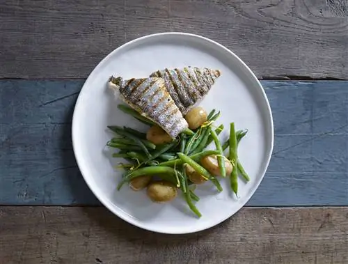 блюдо из морепродуктов с овощным гарниром на столе в ресторане