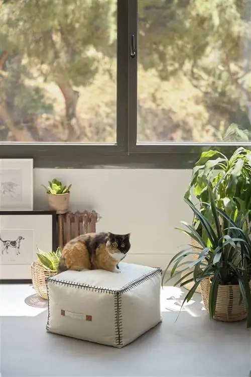 дом музыканта карлос грусть в барселоне украшение каве домашний пуф