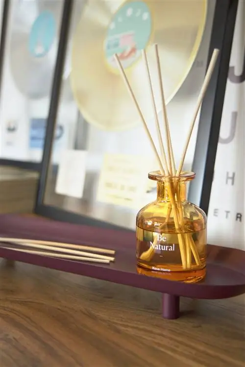 дом музыканта карлос печаль в барселоне украшение каве хоум микадо освежитель воздуха