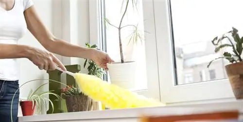 Советы по удалению пыли дома и продлению срока службы